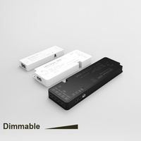 Adaptateur d'alimentation LED 12W DC 12V/24V pour éclairage de placard et armoire