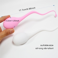 Kabelloser Ferngesteuerter Vibrator-Ei aus Silikon, G-Punkt-Stimulation, App-gesteuertes Erwachsenen-Sexspielzeug für Frauen