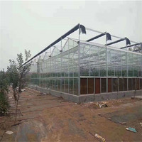 Serre en verre Venlo Zhuotai 1000 M2 en provenance de Chine à vendre