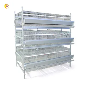 Animal Poultry Husbandry Equipment Automatic Chicken Breeder Cages