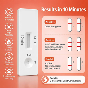 Kits de Tiras Reactivas Veterinarias para la Prueba Rápida de Anticuerpos contra <span class=keywords><strong>Leishmania</strong></span>/Ehrlichia en Perros, para Uso Doméstico, con Certificación CE y Garantía de 2 Años - Product Image 5