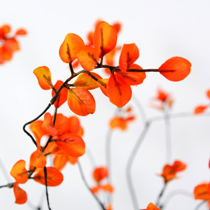 Ramas de Hojas Artificiales de Otoño Flower Delight, 122 cm, Flores de Seda y Plástico, Decoraciones para Bodas y Hogar - Product Image 2