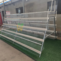 Cage à poules pondeuses automatique de type A à 4 niveaux pour ferme, capacité de 10 000 oiseaux, équipement avicole galvanisé à chaud pour la ponte des œufs