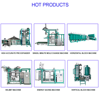 Machine de moulage automatique de formes en EPS contrôlée par PLC, pompe haute efficacité pour la production de boîtes d'emballage en mousse, moulage précis et économe en énergie