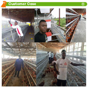 Mejor revisión galvanizado en caliente 3 niveles 4 niveles <span class=keywords><strong>A</strong></span> tipo H jaula de capa de baterí<span class=keywords><strong>a</strong></span> de pollo para aves de corral para granja - Product Image 6