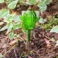 Inserts auto-arrosants pour plantes, bulbes d'arrosage pour plantes, globes d'arrosage pour plantes, couleurs arc-en-ciel, forme de cactus et d'ananas, décoration d'intérieur