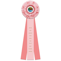 Ruban de rosette de prix de jardin personnalisé 6.5 "ruban de prix rose avec insigne de conception de paysage floral en satin