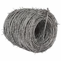 Fil barbelé en acier galvanisé à chaud, anti-escalade, anti-vol, clôture de périmètre, garde-corps