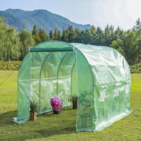 Serre tunnel professionnelle à faible coût pour l'agriculture et le jardinage, idéale pour la culture de fleurs et plantes - En promotion