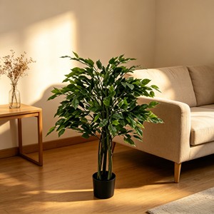 Majestuoso bonsái de árbol de banyan preservado con raíces aéreas para rincón zen y acento de paisaje tropical - Product Image 5
