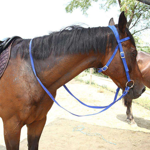 Beste Kwaliteit Paardensport Hoofdstel Teugels Pvc Materiaal Paardenrace Hoofdstel Paardenstal Racepaard Hoofdstel - Product Image 6