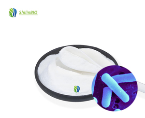 Lactobacillus Gasseri de qualité alimentaire, blanc, 10 milliards d'UFC, poudre de probiotiques lyophilisée, bidon/boîte, durée de conservation de 2 ans - Product Image 2