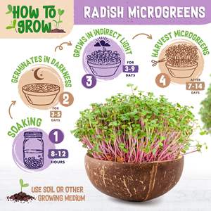 Radis <span class=keywords><strong>bio</strong></span> 200 G Rambo Microgreens Kit de culture de paquets de truies de <span class=keywords><strong>jardin</strong></span> Truies de <span class=keywords><strong>jardin</strong></span> pour la plantation et la suspension en intérieur - Product Image 1