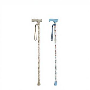 Bastón de Senderismo con Punta de Goma OEM, Mango en T, 5 Secciones, Capacidad de Peso de 250 Libras, para Montañismo, Personas con Discapacidad, Artículos de Terapia - Product Image 1