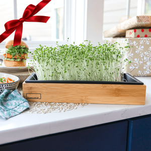 Stile Country Ultimate <span class=keywords><strong>Bamboo</strong></span> Microgreen Starter Kit di utilizzo del pavimento Design per la casa centro commerciale appeso sistema di <span class=keywords><strong>semina</strong></span> - Product Image 4