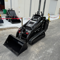 Mini-chargeuse sur pneus avec élévateur hydraulique certifiée CE EPA pour objets lourds