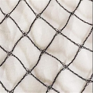 <span class=keywords><strong>Filet</strong></span> transparent pour protéger les oiseaux <span class=keywords><strong>de</strong></span> <span class=keywords><strong>cerisier</strong></span> - Product Image 1