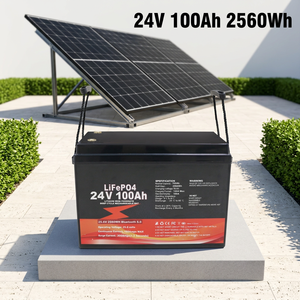Baterai Lithium Iron Phosphate 24V 100Ah 25.6v Deep Cycle Isi Ulang untuk Sistem Energi Surya - Product Image 1