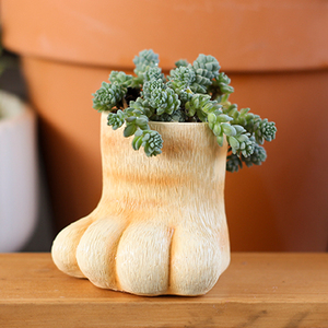 Adorable <span class=keywords><strong>pot</strong></span> à succulentes <span class=keywords><strong>en</strong></span> résine <span class=keywords><strong>en</strong></span> forme de patte de chat, <span class=keywords><strong>pot</strong></span> à fleurs unique <span class=keywords><strong>en</strong></span> forme de patte d'animal, <span class=keywords><strong>pot</strong></span> décoratif fantaisie pour la maison, le jardin ou le bureau - Product Image 3