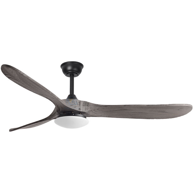 เม็ดไม้สีดำ + แสง