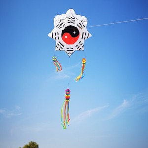 Logiciel de <span class=keywords><strong>cerf</strong></span>-<span class=keywords><strong>volant</strong></span> en nylon de haute qualité résistance au vent et à l'abrasion pour un décollage facile des sports de loisirs en plein air - Product Image 4