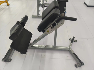Équipement de <span class=keywords><strong>musculation</strong></span> de luxe ergonomique pour entraînement commercial intensif, extensions dorsales pour exercices du haut du corps et <span class=keywords><strong>musculation</strong></span> - Product Image 4