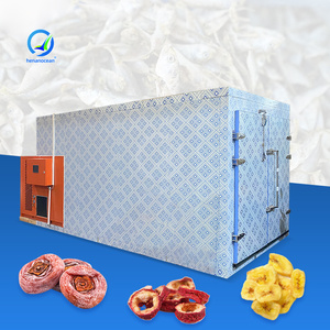 Oven de Secado por Aire Caliente OCEAN para Pescado, Plátanos, Mangos, Copra y Frutas, Máquina Secadora de Jengibre con Bomba de Calor - Product Image 1
