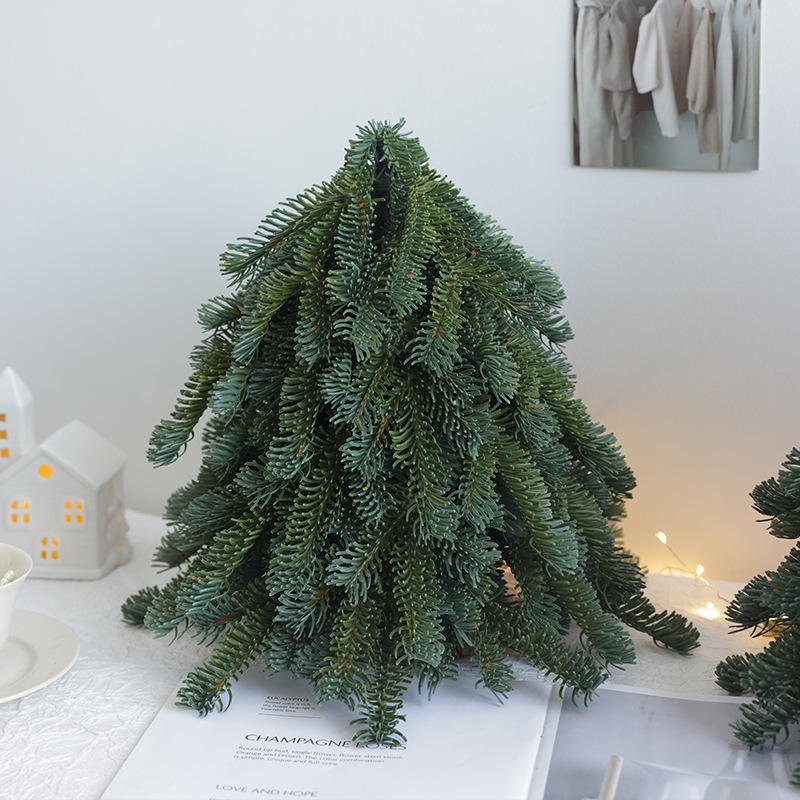 Sapin noble, petite variété, 30 cm