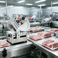 Trancheuse à viande verticale, pour shawarma et doner kebab, qualité professionnelle