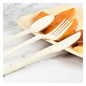 Biodegradable cutlery set with custom packaging wholesaler manufacturer disposable spoon cutlery