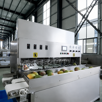 Automatische 8-kops mango schilmachine, sinaasappel- en aardappelschiller, industriële fruit- en groenteschilmachine