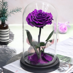 Vente en gros de petites roses rouges préservées faites à la main avec lumière LED, dôme en verre éternel, décoration de mariage, cadeaux pour la Saint-Valentin, Noël - Product Image 2