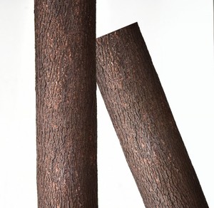 PU / Gel Chất Liệu Cây Nhân Tạo Da Mô Phỏng Cao Cây Vỏ Cây Để Trang Trí - Product Image 4