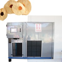Séchoir professionnel commercial à pompe à chaleur pour poisson, moteur en acier inoxydable 304, capacité 2 tonnes, marque Runxiang, gaz/électrique