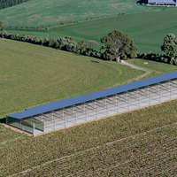 Design moderne, poulailler à structure en acier à bas prix, hangar à poulets préfabriqué, poulailler écologique