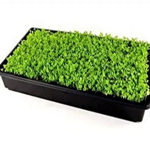 Bandejas de siembra de plantas Microgreen Abs, fabricante Oem personalizado, bandeja de inundación hidropónica para cultivo