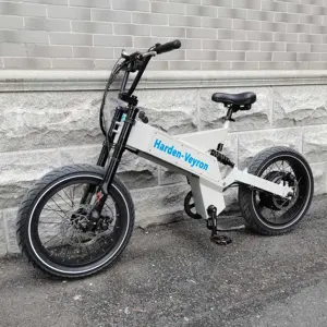 Cheapest powerful electric bicycle only 1k dollars 3000w fat ebike electric bike 20inch fatbike