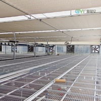 Structure de serre multi-travées en film, fabriquée en Chine, pour usage commercial, idéale pour les projets agricoles