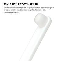 Sécurité animaux de compagnie Silicone doigt brosse à dents ensemble chien chat produits de nettoyage buccal brosse à dents Kit d'outils de nettoyage des dents pour animaux de compagnie