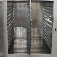 Automatische Voedseldroger 3kW 240V Schaaldehydrator 304SS voor het drogen van mango, banaan, appel, cassave, vis en kokosnoot