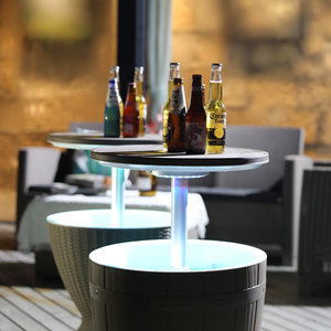 Plastic 30l Portable <strong>Ice</strong> <strong>Box</strong> <strong>Cooler</strong> for Wine Beer Beverage - Product Image 5