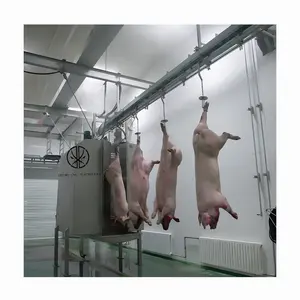 Assembly Line Equipment Automatic 300 Pork Slaughter Line Of Pig Carcass Cleaning Washing Machine For Meat Slaughtering Plant