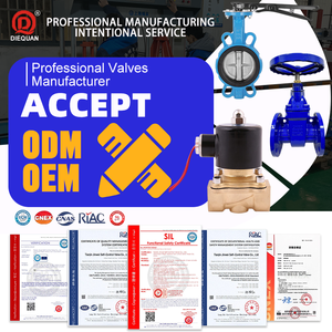 Endüstriyel Pilot Kumandalı 1.6Mpa Yüksek Basınçlı Su Kontrolü 2/2 Yollu DN25 Normalde Kapalı Pirinç Solenoid Valf - Product Image 5