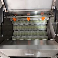 Machine à laver et à peler le gingembre de type brosse à haute efficacité pour les usines de transformation alimentaire