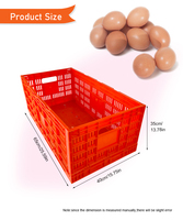 Bonne qualité En Plastique Pliable Palette Boîte En Plastique Oeufs panier Oeuf Boîte De Transport Pour Poulet Canard Oie PH-166