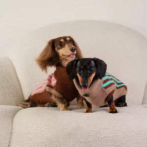 Pakaian hewan peliharaan desain khusus. Sweter rompi musim dingin hangat tebal Sweater Vintage bergaris klasik untuk natal anjing anjing Dachshunds. - Product Image 4