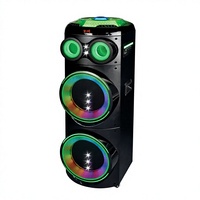 Haut-parleur portable double 10 pouces, lumières LED RGB dynamiques, système audio karaoké haute puissance