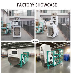 Brand New Lerford Machine Customized Grain <b>Shape</b> & Seed Color <b>Sorter</b> High Capacity 800-1500kg/h 95% Accuracy Made in China - Product Image 4