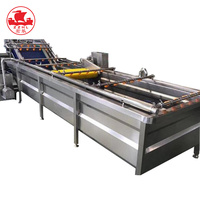 Industriële rode dadels wasmachine fruit- en groentereinigingsapparatuur fruitwasmachine voor voedselverwerkingslijn