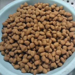 Suministros para mascotas, comida seca y saludable para gatos, pollo, comida seca, 20kg, nuevo diseño de alta calidad - Product Image 5